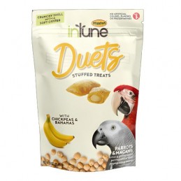 INTUNE DUETS POIS CHICHES...