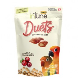 INTUNE DUETS POIS CHICHES...